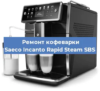 Чистка кофемашины Saeco Incanto Rapid Steam SBS от накипи в Краснодаре